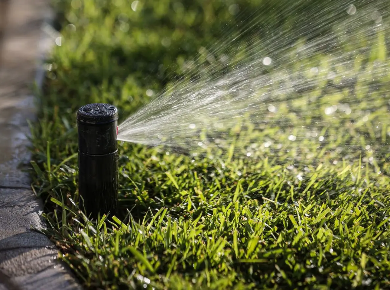 Instalación de sistema de riego automático