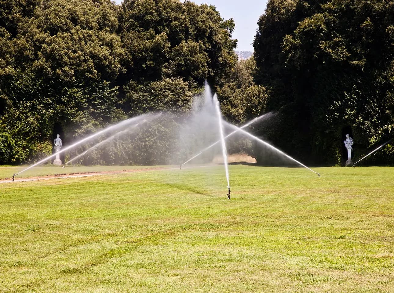 Instalación de sistema de riego automático